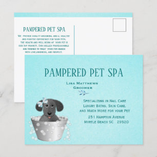 Cartão Postal Marketing de Orçamento do Groomer de Pet