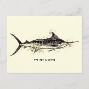 Cartão Postal Marlin Vintage Illustration Trabalho de arte