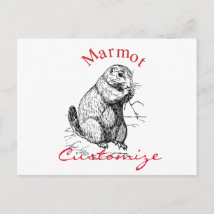 Cartão Postal Marmot Marmot Thunder_Cove