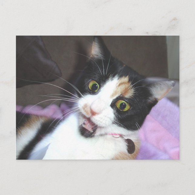 Cartão Postal marreta (Frente)