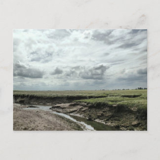 Cartão Postal Marshland