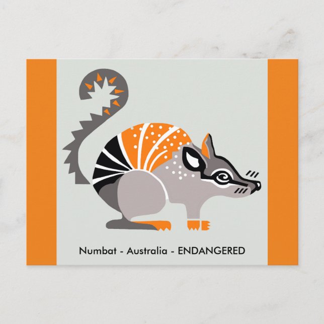 Cartão Postal Marsupial - NUMBAT - Natureza - (Frente)