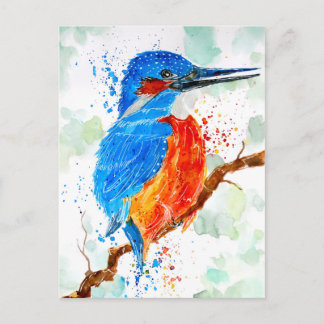Cartão Postal Martim-pescador Esperando Presa