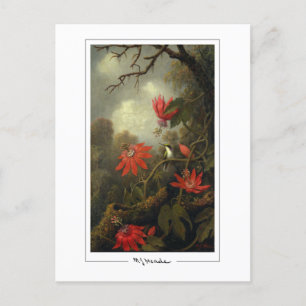 Cartão Postal Martin Johnson Heade #36 - Cartão-postal de arte