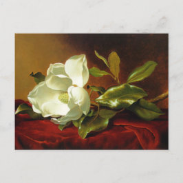 Cartão Postal Martin Johnson Heade Magnolia Vintage
