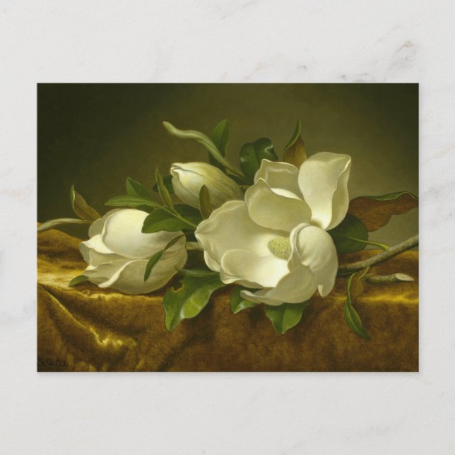 Cartão Postal Martin Johnson Heade - Magnolias em Velvet Dourado (Frente)