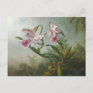Cartão Postal Martin Johnson Heade - Orquídeas e Hummingbird