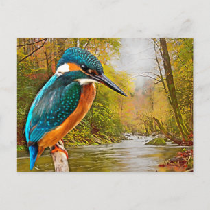 Cartão Postal Martinho pescatore comum