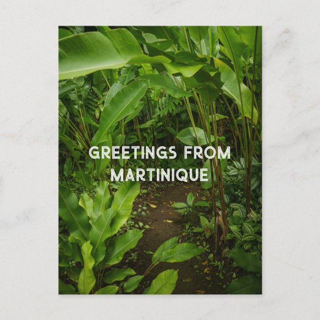 Cartão Postal Martinique tropical garden,  travel (Frente)