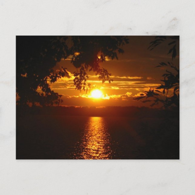 Cartão Postal Maryland 2005 (Frente)