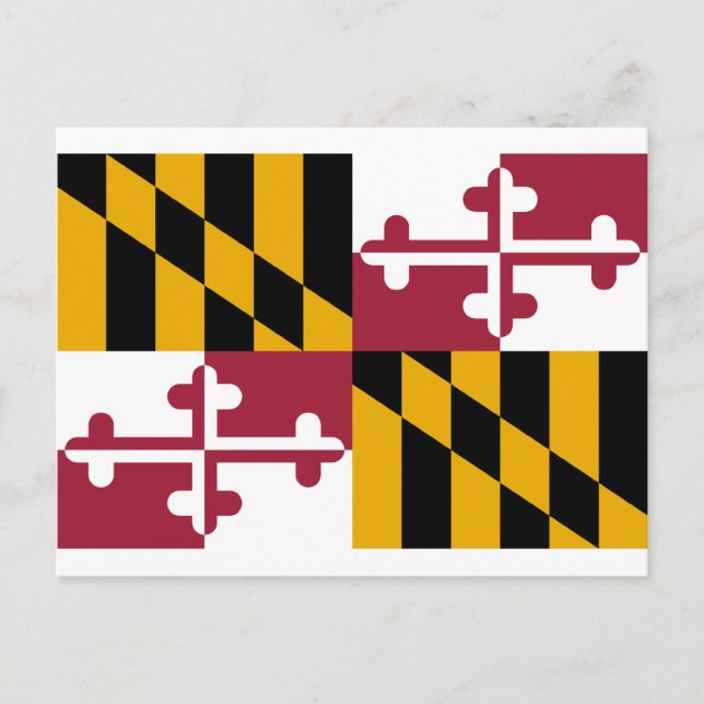 Cartão Postal Maryland Flag (Frente)