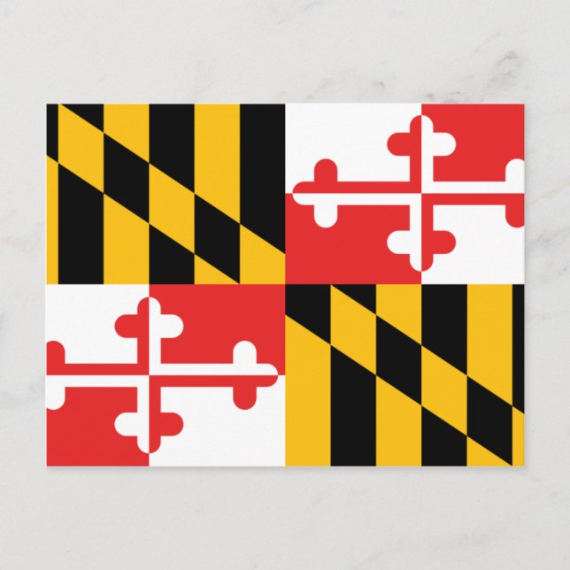Cartão Postal Maryland Flag (Frente)