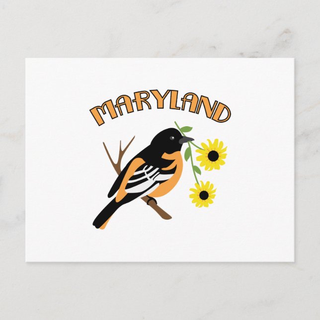 Cartão Postal Maryland Oriole (Frente)