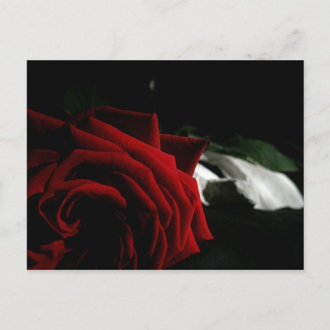 Cartão Postal Mascarada (Frente)