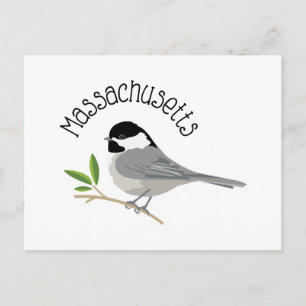 Cartão Postal Massachusetts Chickadee