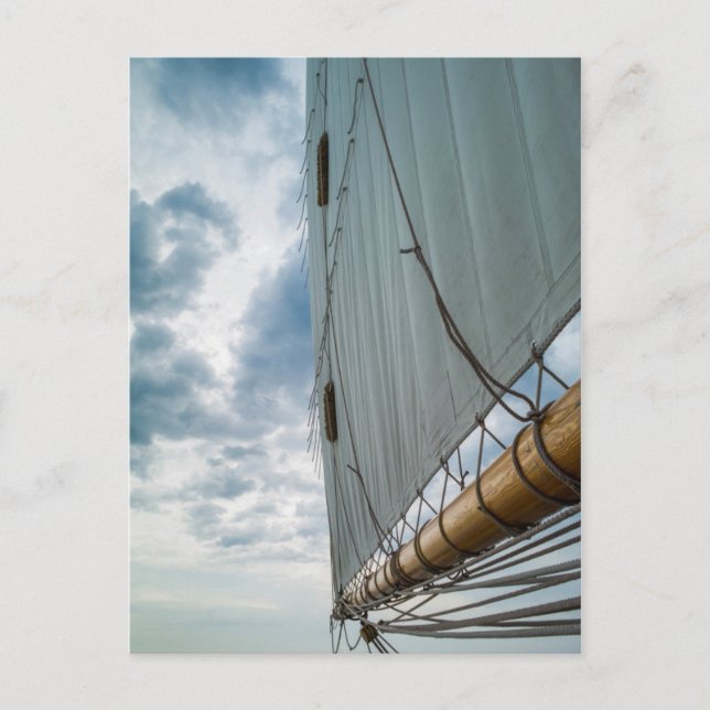 Cartão Postal Massachusetts, Gloucester, Festival Schooner 4 (Frente)