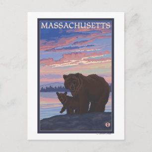 Cartão Postal MassachusettsBear e Cub