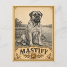 Mastiff, Cachorro Vintage Heritage
