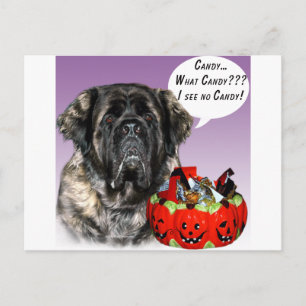 Cartão Postal Mastiff (fluffy) Halloween Candy