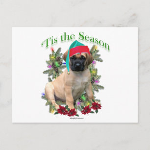 Cartão Postal Mastiff "Tis