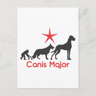 Cartão Postal Mastim Alemão Canis Major