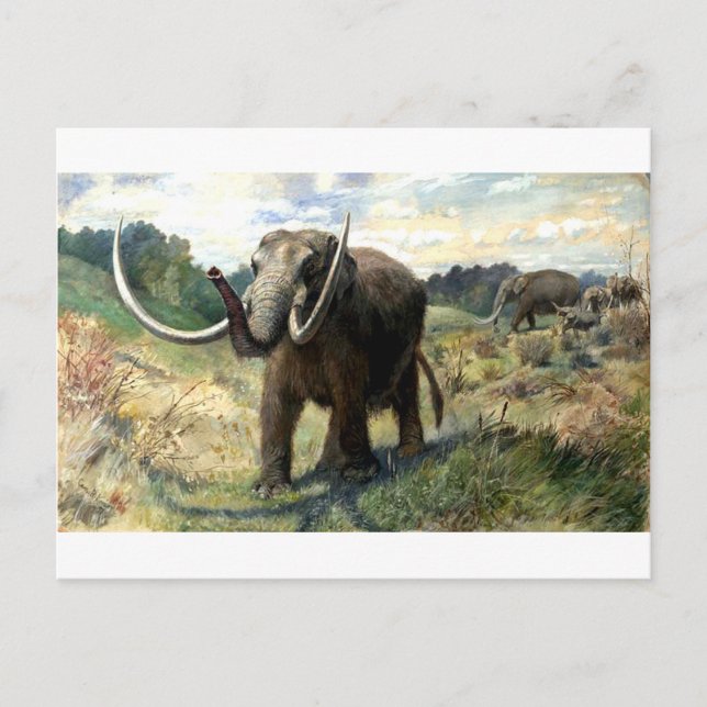 Cartão Postal mastodonte-1 (Frente)