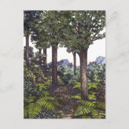 Cartão Postal Mata Atlântica da Nova Zelândia