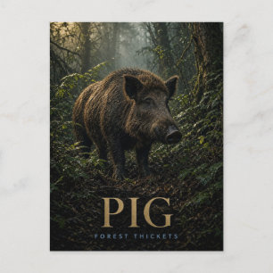 Cartão Postal Matagal de Porco na Floresta Vida Selvagem ANIMAL