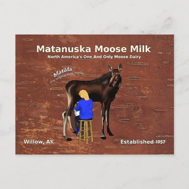 Cartão Postal Matanuska Moose Milk (Frente)