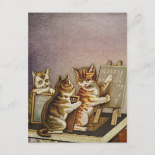 Cartão Postal Matemática de gatos