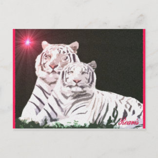 CARTÃO POSTAL MATÉRIAS DE ALMA