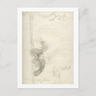 Cartão Postal Matilda O Glorioso Pássaro Do Paraíso