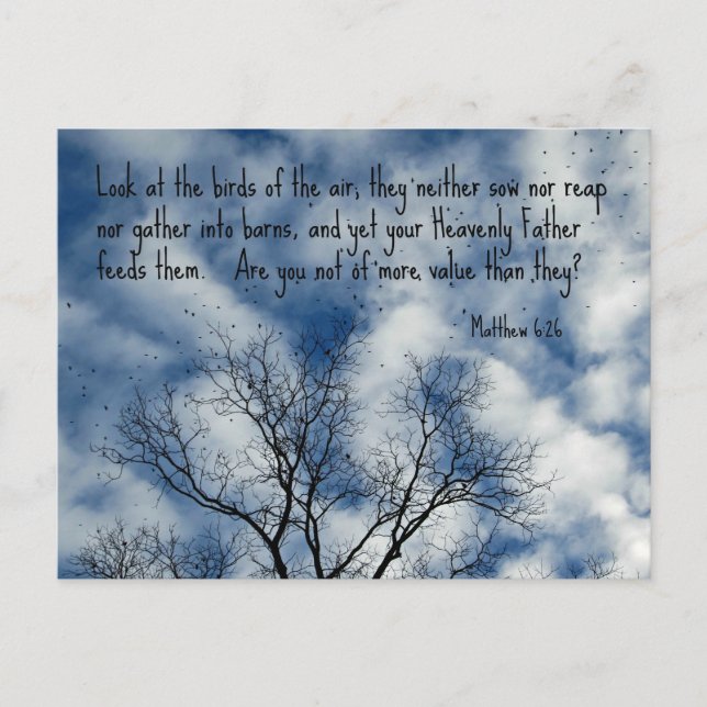 Cartão Postal Matthew 6:26 Olhe os pássaros do ar... (Frente)