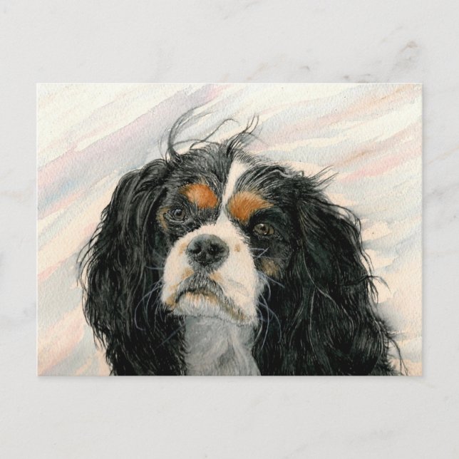 Cartão Postal Mattie, o Rei Charles Cavalier Spaniel (Frente)