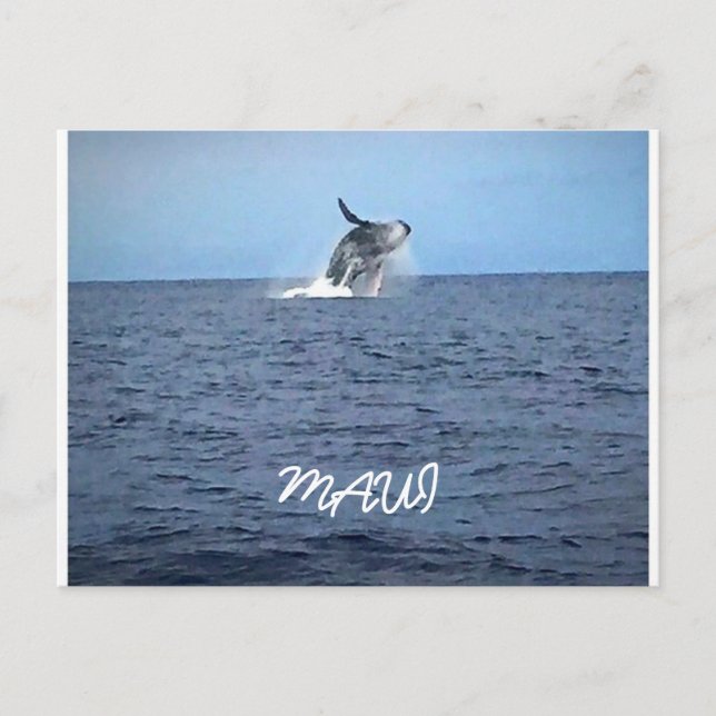 Cartão Postal Maui (Frente)