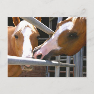 Cartão Postal Max e seu filho Leonardo