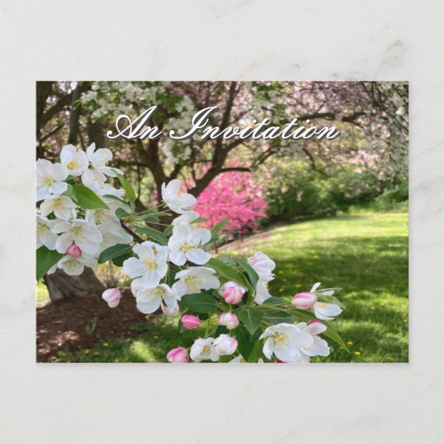 Cartão Postal May Flowers Pink Invitation Postcard (Frente)