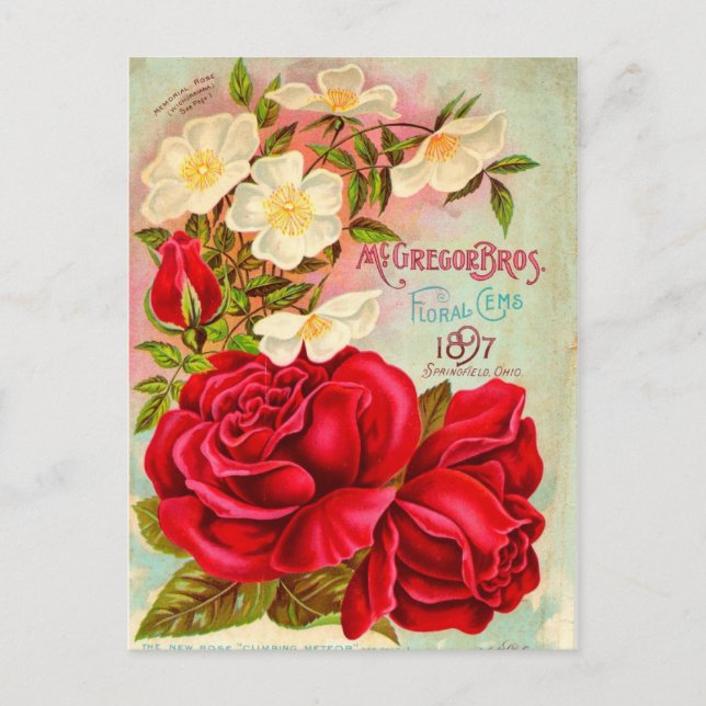 Cartão Postal McGregor Bros. Floral Gems Advertisement (Frente)