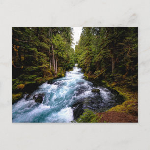 Cartão Postal McKenzie River, Oregon, fotografia cênica