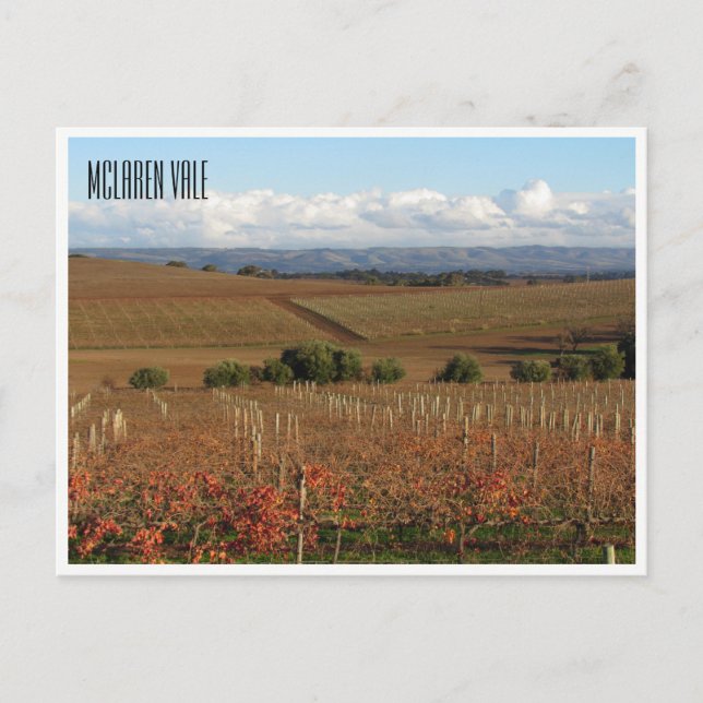 Cartão Postal mclaren winery (Frente)