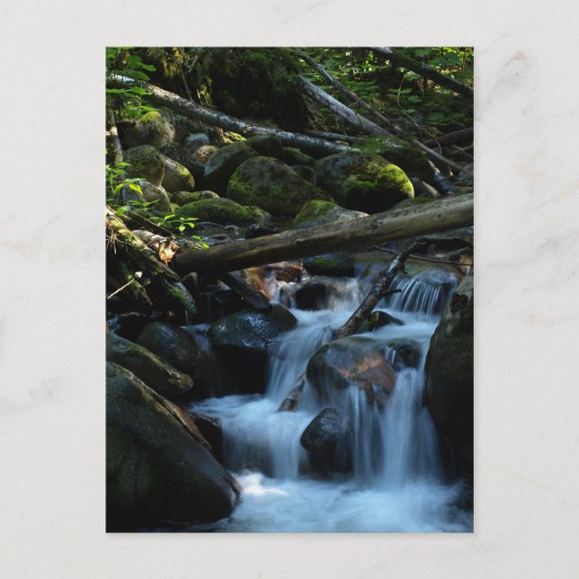 Cartão Postal McPhee Creek, Castlegar, Colúmbia Britânica (Frente)