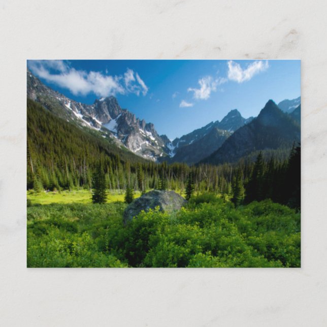 Cartão Postal Meadow e o Monte Stuart (Frente)