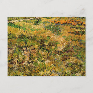 Cartão Postal Meadow no Hospital Paul Santo por Vincent van Gogh