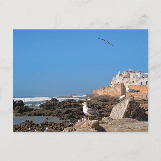 Cartão Postal Medina de Essaouira e costa atlântica (Frente)