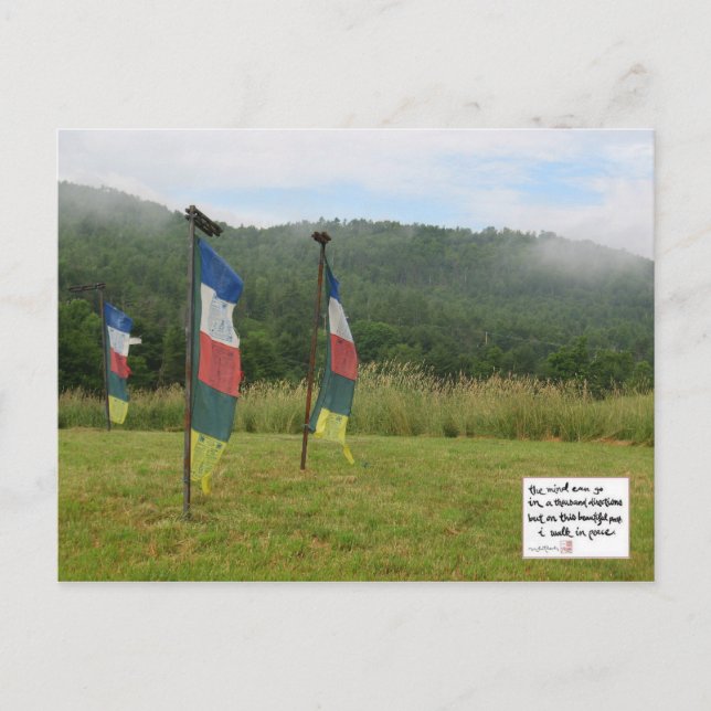 Cartão Postal Meditação (Frente)