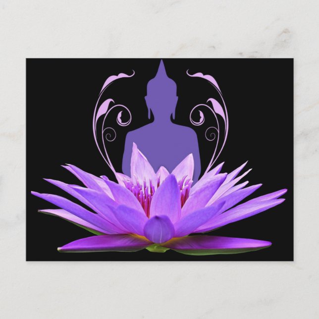 Cartão Postal Meditação de Flor de Lotus Puro (Frente)