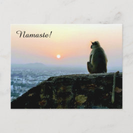 Cartão Postal Meditação de Namaste - Macaco Yoga na Índia ao pôr