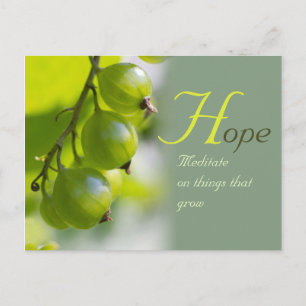 Cartão Postal Meditação sobre o cultivo CC0330