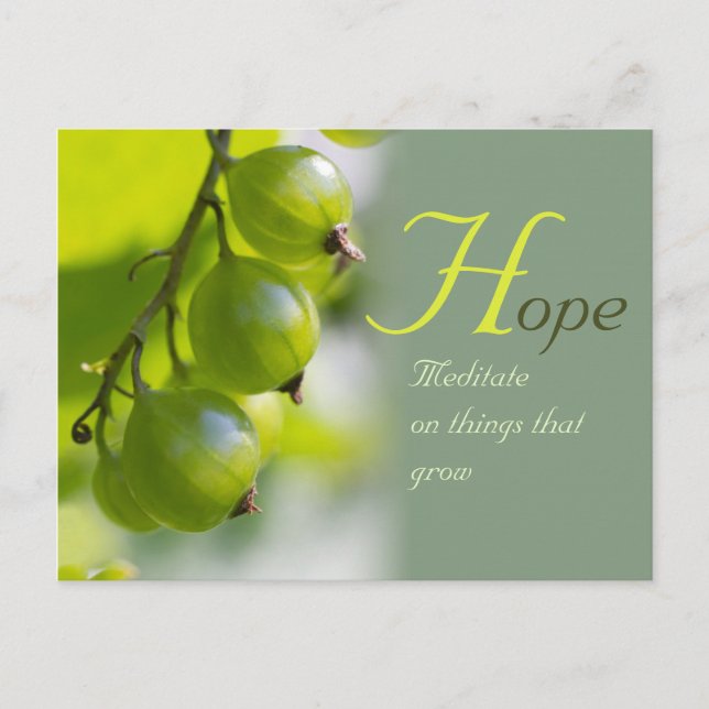 Cartão Postal Meditação sobre o cultivo CC0330 (Frente)