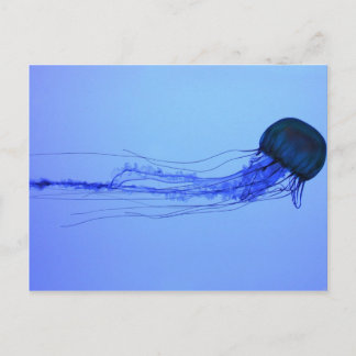 Cartão Postal Medusa